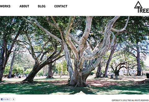 TREE_Web.jpg